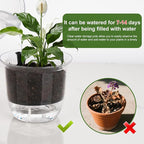 Self Watering Pots, 3 Pack 5 Inch Clear Plant Pot Self Watering Planter Flowers Pot with Deep Reservoir for Indoor Plants (3 Medium)