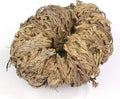 Incense Garden Rose of Jericho Flower The Resurrection Plant (6 Roses)