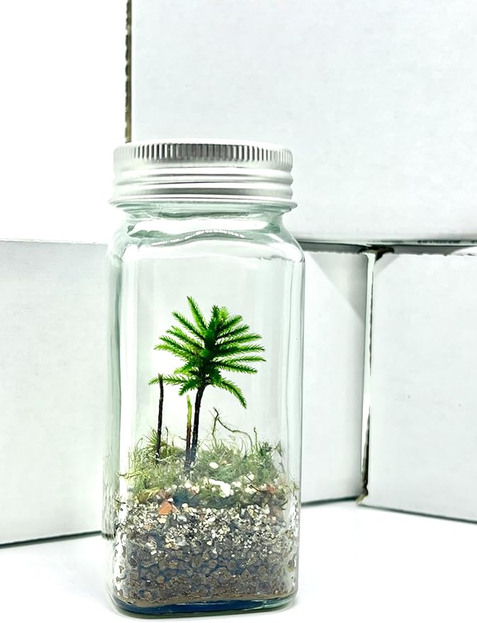 Live Little Tree Terrarium Kit, Self-Sustaining DIY Tree Moss Terrarium, Indoor Low Maintenance, Home and Office Décor (DIY Kit)