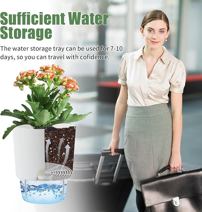 Oliz 6 Inch Self Watering Planter Pots for Indoor Plants, 3 Packs African Violet Pots with Wick Rope and Visible Reservoir Self Watering Planter for Herb, Houseplants