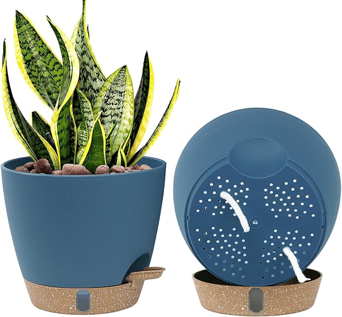 montresor 2 Pack 8 inch Plant Pots, PP Plastic Self Watering Plant Pot with Drainage and Tray for Indoor Outdoor Plants, Water Level Window & Reservoir Flower Pots Decorative Planter (Blue)