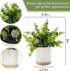 Coferset Small Fake Plants Eucalyptus Potted Artificial Plants Faux Plant Greenery in Ceramic Pot for Bedroom Kitchen House Living Room Shelves Farmhouse Table Office Desk Bathroom Home Indoor Decor