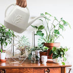Watering Can for Home Garden - White Color - 1/2 Gallon
