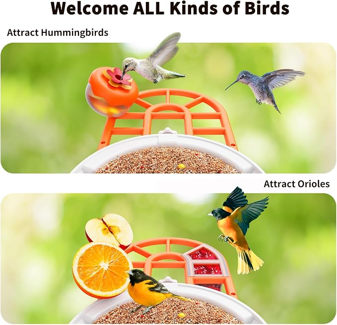 HARYMOR Bird Feeder with Camera with AI Identify Birds Species Solar Powered, Smart Bird House with Cam, 2K HD Video Live Stream, Instant Arrival Alerts - Orange