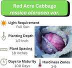 Cabbage Seeds for Planting - Plant & Grow Red Acre Cabbage in Your Home Outdoor Vegetable Garden - Heirloom Non GMO Planting Packets with Full Instructions - Great Gardening Gift, 2 Packets