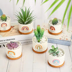 Sieral 6 Pcs Teacher Appreciation Gift Bamboo Pot Mini Ceramic Succulent Planter Pots with Bamboo Tray Gardening with Drainage Hole Thank You Gifts for Women Men Birthday Gift for Teacher