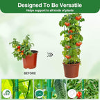 Lezmarket 2 Pack Tomato Cages for Garden, Tomato Trellis for Raised Garden Bed with Plant Clips and Twist Ties for Climbing Plants, 43 inches ﻿ ﻿
