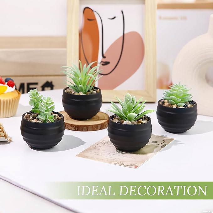 Der Rose Set of 6 Succulents Plants Artificial in Pots Small Fake Plants for Halloween Decorations Bedroom Living Room Office Shelf Black Bathroom Decor