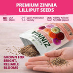 HOME GROWN Zinnia Lilliput Mix Flower Seeds for Planting Spring 2026 – 2500 Seeds (2g) Zinnia elegans – Colorful Zinnia Seed Mix for Garden Beds, Containers & Cut Flowers, Easy Grow Zinnia Seeds
