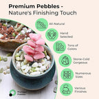 Rocks for Plants. Green Jade Decorative Polished Pebbles. 1/5 Inch – 5 lbs for Garden, Vase fillers, Crafting, Succulents, pots, Plants (Mini (0.2 Inch), Green Jade - Polished, 5)