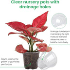 Bluepro 30 Packs 7/5/4 Inch Reinforced Clear Nursery Pots with Drainage Hole, Transparent Variety Pack Plastic Plant Pot Seedling Planter for Vegetable Propagation, Root Cutting, Seed Starting