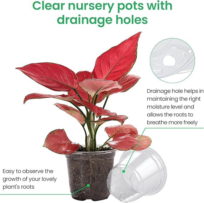 Bluepro 36 Packs 5/4/3.5 Inch Reinforced Clear Nursery Pots with Drainage Hole, Transparent Variety Pack Plastic Plant Pot Seedling Planter for Vegetable Propagation, Root Cutting, Seed Starting