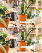 vensovo Cork Plant Coasters & Saucers 8 Inch– Absorbent Round Mats for Indoor Flower Pots, Planters, Houseplants, Surface Protector for Table & Floor, 3 Pack