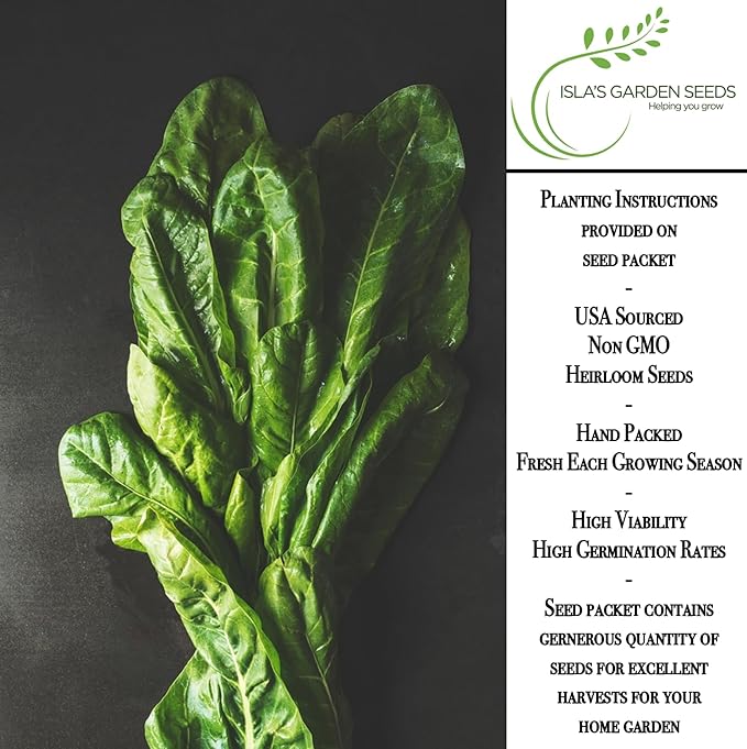 Perpetual Spinach Seeds for Planting, 300+ Heirloom Seeds Per Packet, (Isla's Garden Seeds), Non GMO Seeds, Botanical Name: Beta vulgaris subsp. vulgaris, Great Home Garden Gift