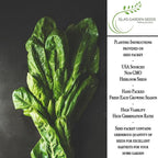 Perpetual Spinach Seeds for Planting, 300+ Heirloom Seeds Per Packet, (Isla's Garden Seeds), Non GMO Seeds, Botanical Name: Beta vulgaris subsp. vulgaris, Great Home Garden Gift