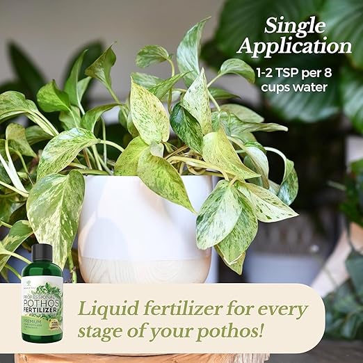 Professional Liquid Pothos Plant Fertilizer | 3-1-2 Concentrate for Epipremnums and Houseplants | Multi-Purpose Blend & Gardening Supplies | 8 oz Bottle