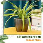 Self Watering Pots for Indoor Plants, 6-Pack 5'' Self Watering Planter with Drainage Holes, Small African Violet Pots with Water Indicator, Clear Wick Orchid Pot, Grey Gold