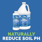 Bloom City Organic Soil Acidifier – Lowers Soil pH for Blueberries, Hydrangeas & Acid-Loving Plants, 32 oz