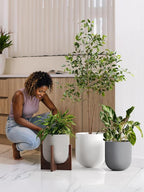 10 Inch Plant Pot, Ceramic Pots for Plants with Drainage Hole and Rubber Plug, Plant Pots Indoor for Home Garden Patio Office, Cylinder Flower Planter Pot, Neutral Gray