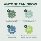 Garden Republic Bonsai Tree Kit - Mini Bonsai Seeds, 4 Types - Seed Starter Plant Growing Kit - Potting Soil Jute Bags Pruning Shears Tool and Plant Markers