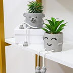 Zerzsy Fake Desk Plants in Cement Pots, Faux Plant Succulents Shelf Decorations, Funny Artificial Succulent Plants for Office Desk Decor, Cubicle Accessories - Set of 2