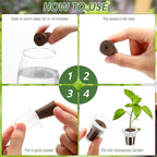 Ziliny 200 Pcs Grow Sponges Pods Kit, Includes 100 Grow Sponges, 100 Root Plant Basket, Root Growing Kit Replacement Pod Cups Hydroponic Pods Garden Accessories for Indoor Herb Growing System