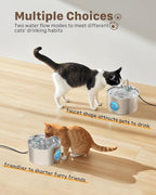 Cat Water Fountain Stainless Steel: Cat Fountain for Drinking with 6 Filters + 3 Sponges - 74oz/2.2L Pet Water Fountain for Cats Inside - Quiet Cats Water Bowl Dispenser - Kitten Drinking Fountains