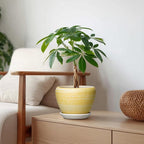 Ceramic Planter - 6 Inch Plant Pots for Indoor Outdoor Plants, Modern Indoor Flower Pots with Drainage Hole and Saucer, Round Planter, Bathroom Decor, House Warming Gifts, Textured Yellow