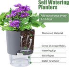 Oliz 6.3 Inch Self Watering Planter Pots for Indoor Plants, 3 Packs African Violet Pots with Wick Rope and Visible Reservoir Self Watering Planter for Herb, Houseplants