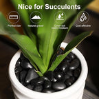 3/4-1 5/8Inch Black River Pebbles for Vases Pebbles for Indoor Plants Gravel Rocks for Crafts River Rocks 11LB Pebbles Decorative Stones for Plants Outdoor