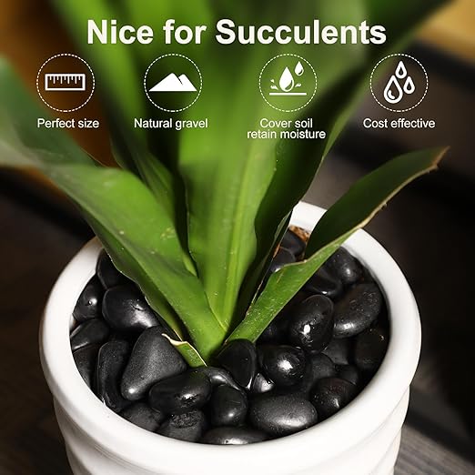 3/4-1 5/8Inch Black River Pebbles for Vases Pebbles for Indoor Plants Gravel Rocks for Crafts River Rocks 11LB Pebbles Decorative Stones for Plants Outdoor