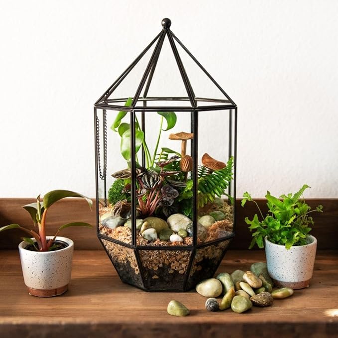 SuperMoss (90405) Glass Terrarium – Elegant Indoor Gardening Décor, Ideal Gifts for Plant Lovers, Modern Home & Office Decoration, 7.5” x 7.5” x 14”, Greenhouse