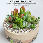River Rocks,Landscaping Pebbles,Decorative Ornamental Pebbles,Garden Landscaping Stones,Gravel Filler for Home Decoration Flower Bed Fish Tank Plants Vases Succulents (Natural, 10 Pounds)
