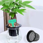 3 Inch Net Pots for Hydroponics 30 Packs with Plant Labels 30Pcs Heavy Duty Wide Mouth Net Cups Slotted Mesh Pot hydroponics Supplies