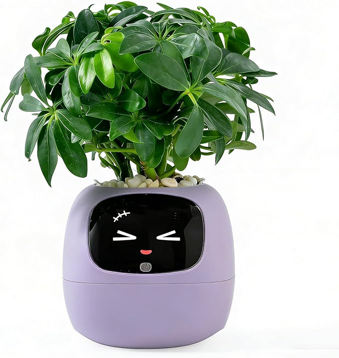 Intelligent Flower Pot, Electronic Bud, Maintenance Plant Assistant, Fun Interactive Flower Pot, Indoor Green Planting Monitoring, LCD Screen Display, Cell Phone APP Connection (Purple)