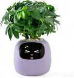 Intelligent Flower Pot, Electronic Bud, Maintenance Plant Assistant, Fun Interactive Flower Pot, Indoor Green Planting Monitoring, LCD Screen Display, Cell Phone APP Connection (Purple)