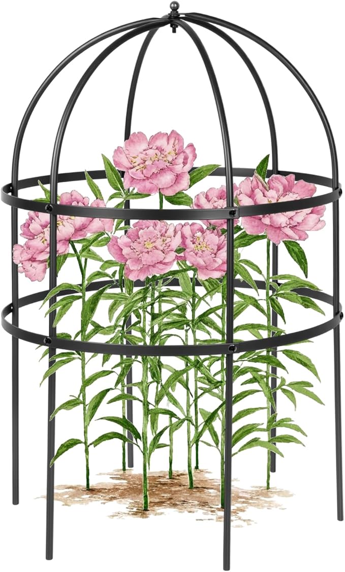 1 Pcs Jardin Bird Cage Plant Support 24" H Large Sturdy Grow-Through Flower Support Peony Cage Climbing Plant Support Trellis Sculptural Garden Decor for Perennial Flowers (Black)