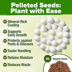 HOME GROWN Organic Herb Seeds Variety Pack - Non GMO, Heirloom 2,500+ High-Germinating Heirloom Seeds for Planting Indoor Outdoor Spring Herb Garden Hydroponics Garden Seeds, Basil Cilantro & More