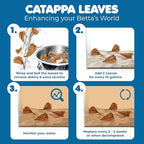 SunGrow 100 pcs Catappa Indian Almond Leaves for Betta Fish Tank Aquarium, 2” Water Conditioner Leaves, Leaf Also Suitable for Shrimp, Goldfish, Guppy and Frogs