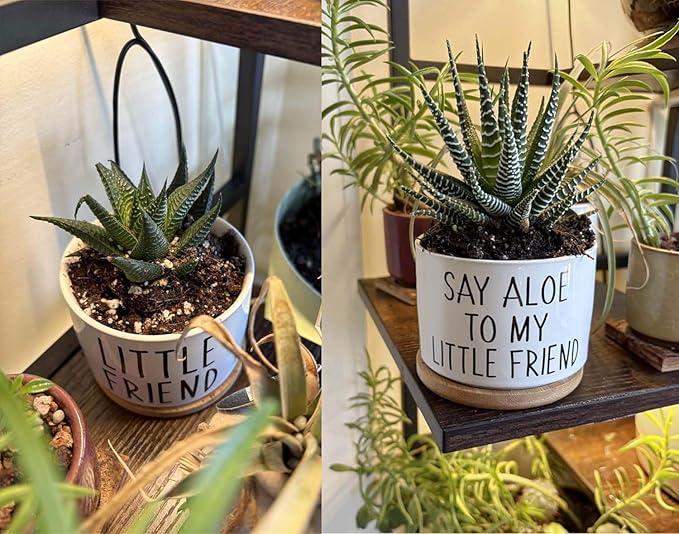 Kwtzkuo® 2 Pack- Say Aloe to My Little Friend - Funny Succulent Pots, Cute Small Ceramic Planter Pot with Drainage, Home & Office Succulent Aloe Planter