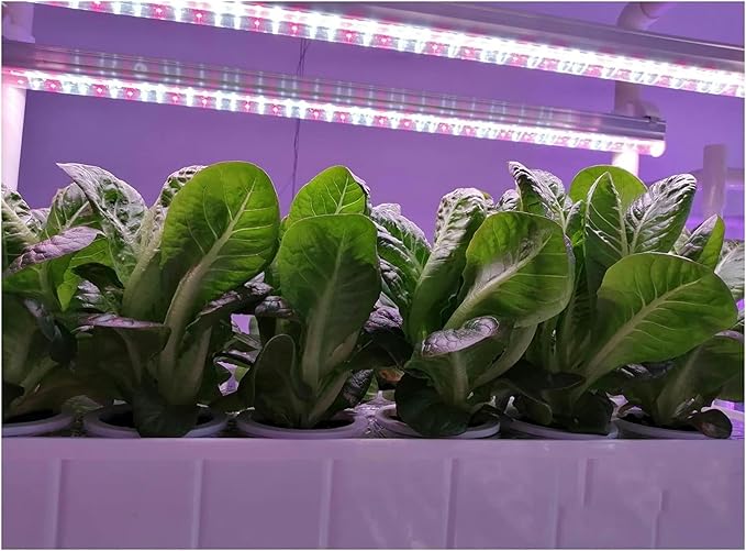 FLTRGO Hydroponic Tower Growing Sytem Hydroponics Growing System Indoor Smart Herb Vertical Garden Kit Automatic Led Grow Lights Planter for Home Kitchen Easy to Install and Operate