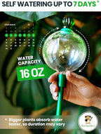 6pcs 16 Oz Plant Watering Globes for Indoor Plants with Metal Self Watering Planter Insert - Premium XL Glass Hand-Blown Globes - Automatic Plant Waterer Indoor, Gift Idea for Gardeners [6 Globes]