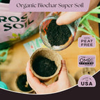 Rosy Soil Seedling Seed Starter Soil - Peat-Free Organic Potting Mix for Seeds, Cuttings, Microgreens- w/Worm Castings, Root-Boosting Biochar, Less Prone to Gnats, for Germination, Propagation - 4qt