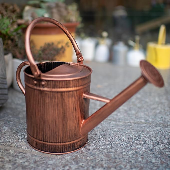 1 Gallon Watering Can, Copper Watering Can, Metal Water Can with Removable Spout, Perfect Plant Water Can for Indoor and Outdoor
