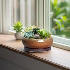 Succulent Pots - 6 Inch Ceramic Bonsai Pots with Drainage Hole and Tray, Succulent Planters for Indoor Outdoor, Shallow Round Planter, Cactus Pot, Desk Decor, Plant Lover Gifts, Retro Brown