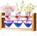 Nacome Plant Terrarium Propagation Stations: Mothers Day Gifts for Mom Plant Lovers Women Wife Daughter - 3 Bulb Glass Vase with Wooden Stand Tabletop for Hydroponics Home Garden Decor(Purple)