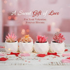 Tiita Artificial Faux Succulents in Pots, Pink Fake Plants Ceramic Arrangement Planter for Women Desk Small Mini Tiny Decoration for Home Office Desk Window 4 Set, Pink