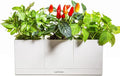 LeGrow Smart Garden Indoor Planter Starter Kit - 3 Patented Design Plant Pots,1 Water Holding Base Tray - (Plants Not Included)