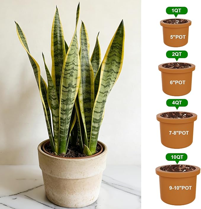 Organic Snake Plant Potting Soil 2qt- Well-Draining Nutrient-Rich Mix for Healthy Roots & Faster Growth, Natural Soil for Sansevieria Plants