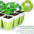 6pcs Reusable Seed Starter Kit, 72 Cells Seed Starter Trays, Silicone Seedling Starter Trays for Starting Plant Seeds with Flexible pop-Out Cells, Indoor Gardening Plant Germination Trays